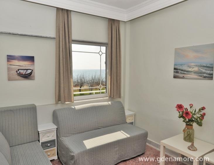 28-ROOM-3 AS LIVING ROOM-WINTER VIEW